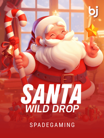 Santa Wild Droppng icon