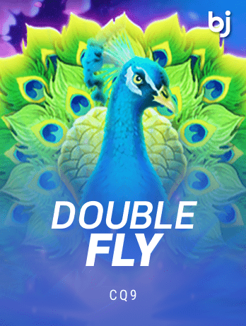 Double Flypng icon